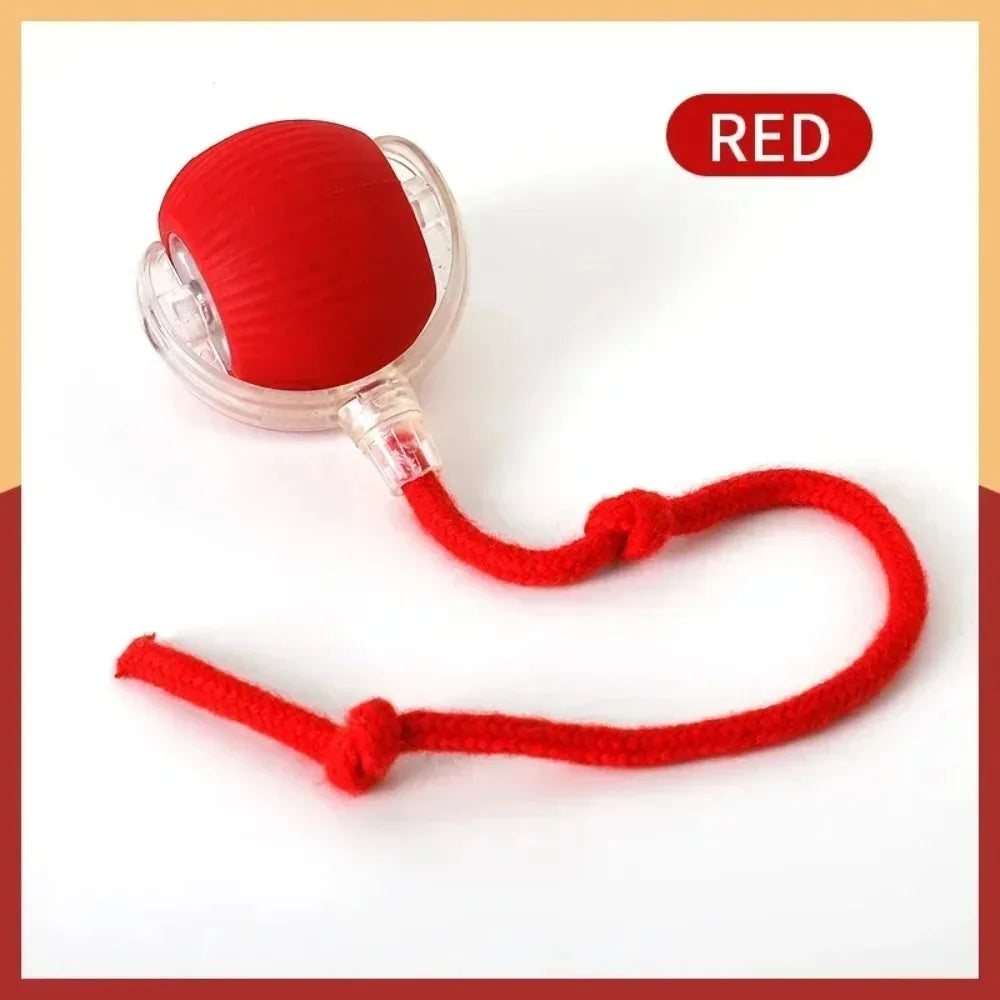 Pelota Interactiva