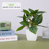 Plantitas artificiales