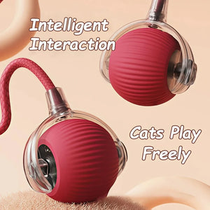 Pelota Interactiva